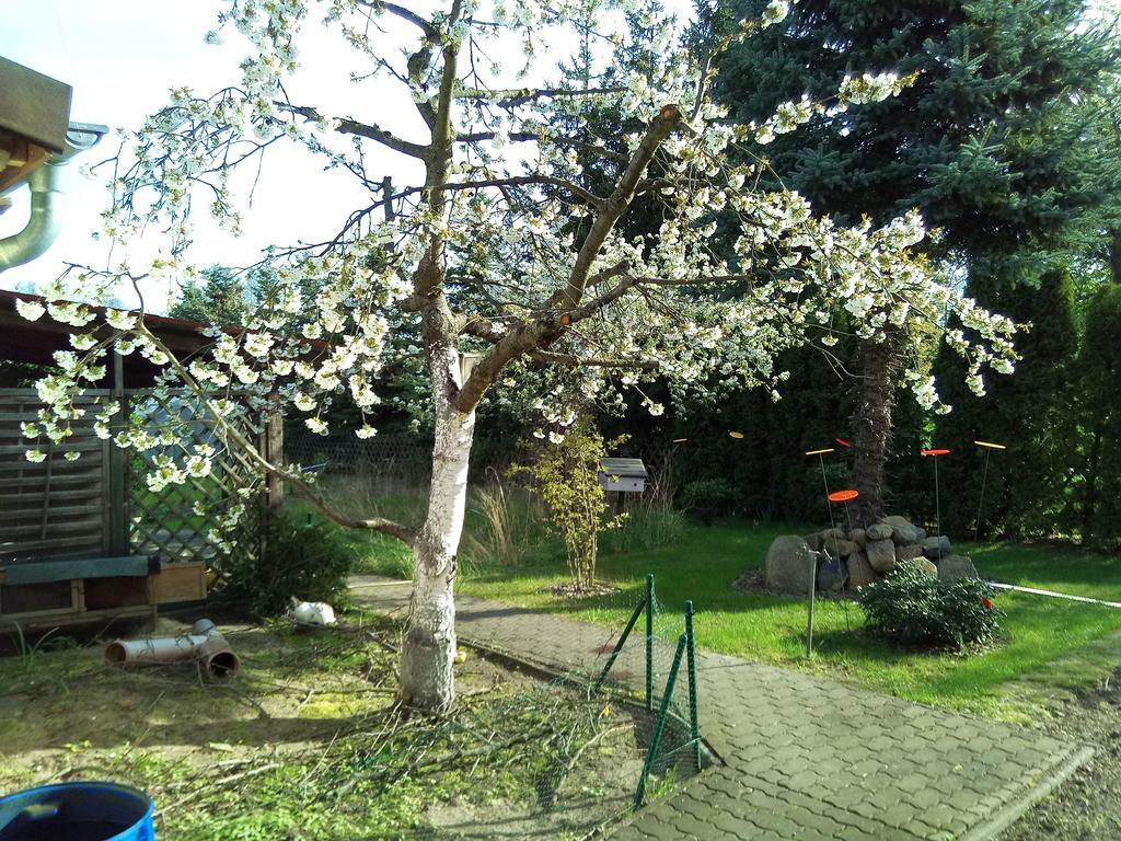 Gräben Steffis Zimmervermietung מראה חיצוני תמונה